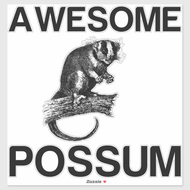 AWESOME POSSUM (Sheet)