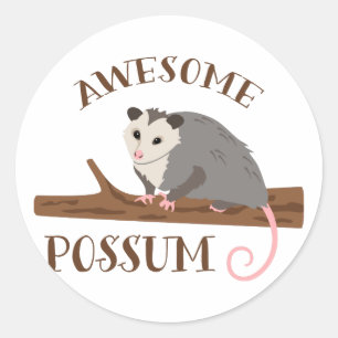 Awesome Possum Classic Round Sticker