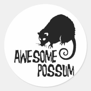 Awesome Possum Classic Round Sticker