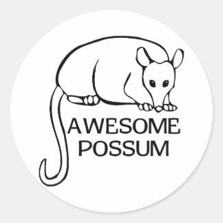 Awesome Possum Classic Round Sticker