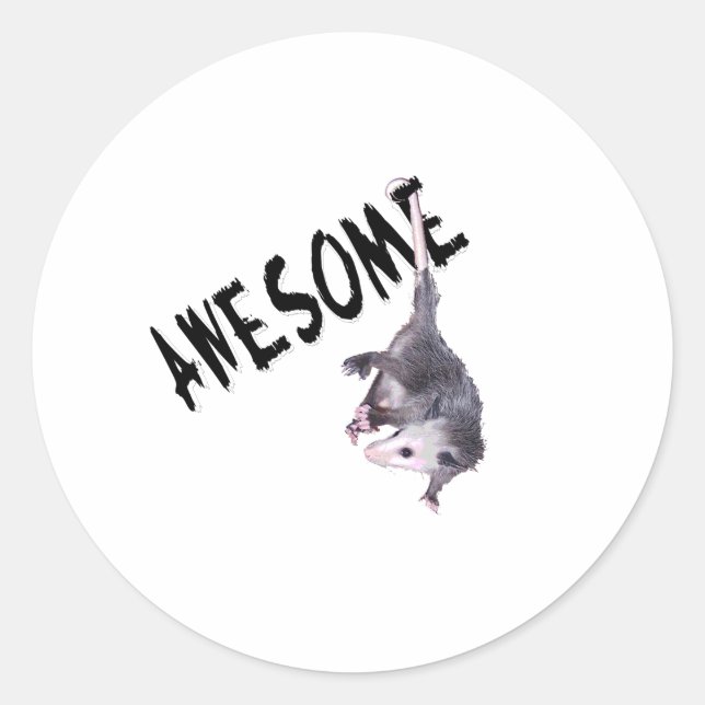 Awesome Possum Opossum Classic Round Sticker (Front)