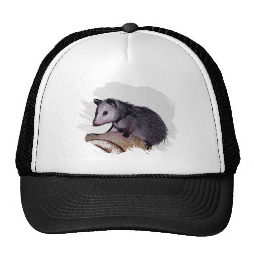 Awesome Possum Opossum Hats | Zazzle