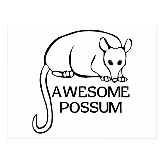 Awesome Possum Postcard