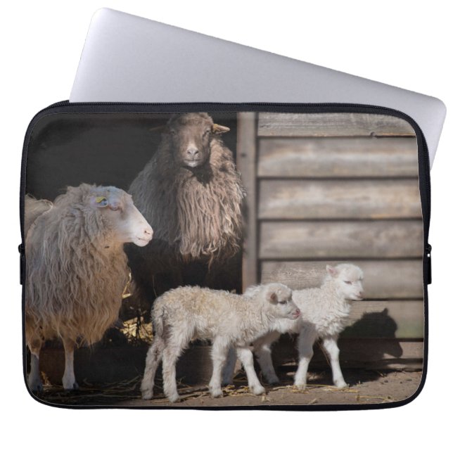 Awesome Sheep with Lambs Animal Photograph Laptop Sleeve (Front)