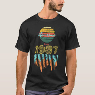 Awesome Since 1987 Vintage 33rd Birthday T-Shirt