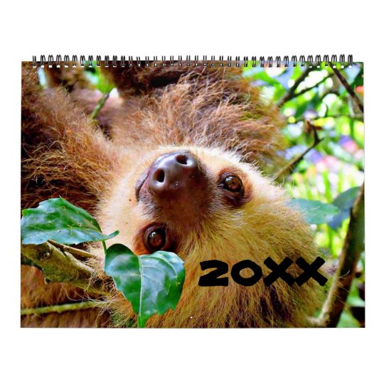 Awesome Sloth Calendar | Zazzle.co.uk