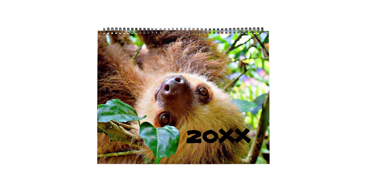 Awesome Sloth Calendar Zazzle co uk