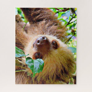 awesome Sloth Jigsaw Puzzle