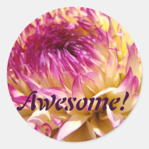 Awesome! stickers Dahlias Pink Purple Dahlia