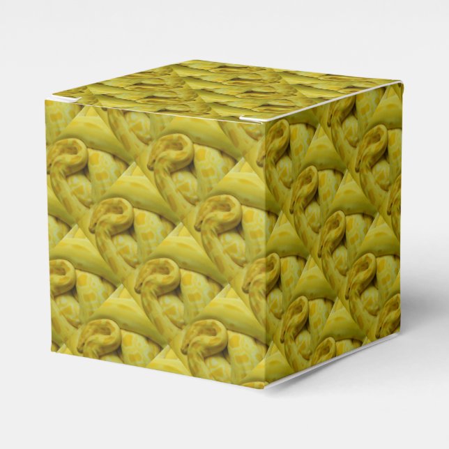 Awesome Yellow Burmese Python Favour Box (Front Side)