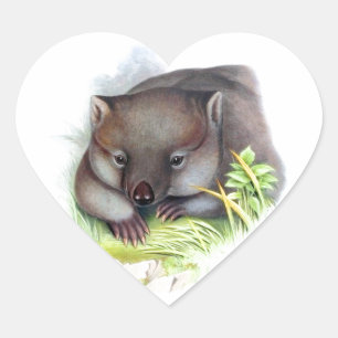 Awesomely cute Australian animal wombat vintage Heart Sticker