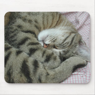 Awkward Cat Sleeping Position Mouse Mat