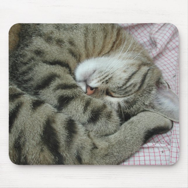 Awkward Cat Sleeping Position Mouse Mat (Front)