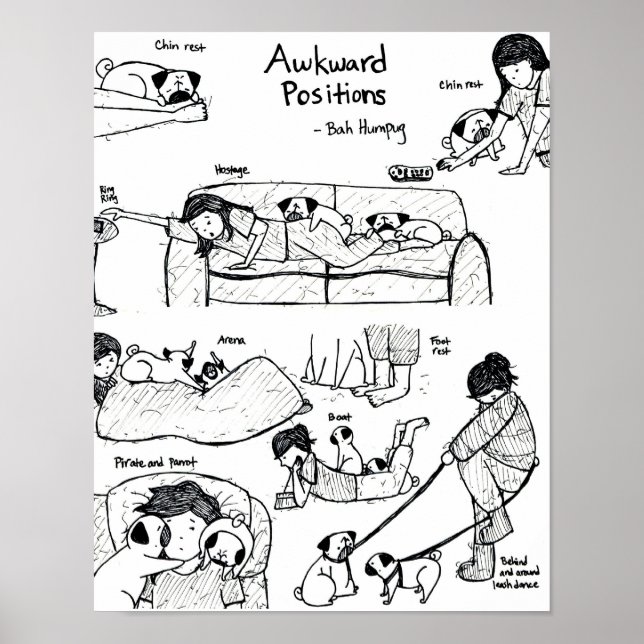 Awkward Positions With Pugs Poster (Front)