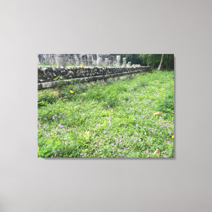 aWorld2Celebrate: Chichén Itzá Butterflies Canvas Print
