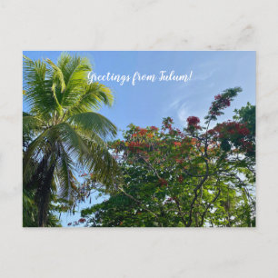 aWorld2Celebrate: Greetings from Tulum! Postcard