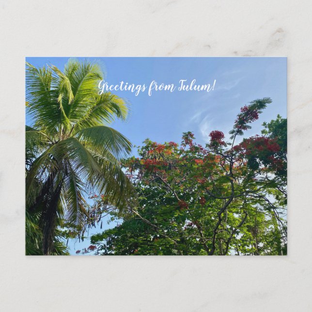 aWorld2Celebrate: Greetings from Tulum!  Postcard (Front)