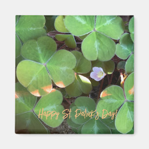aWorld2Celebrate: Happy St. Patrick's Day! Magnet