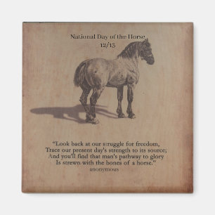 aWorld2Celebrate: National Day of the Horse Magnet