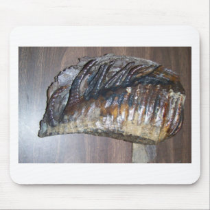 awsome Mammoth tooth Mouse Mat