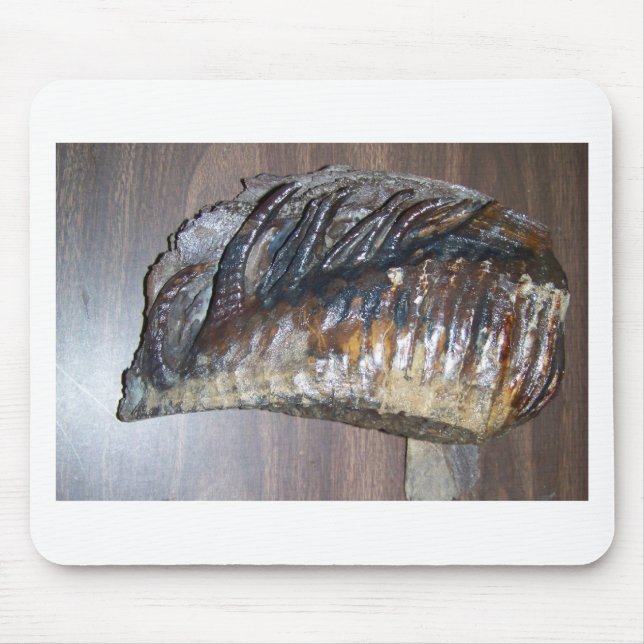 awsome Mammoth tooth Mouse Mat (Front)