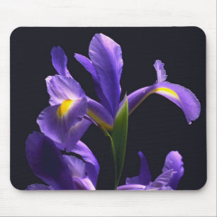Awsome, purple Iris Mouse Mat