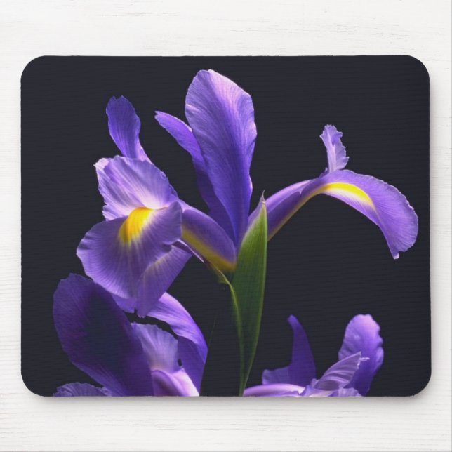 Awsome, purple Iris Mouse Mat (Front)