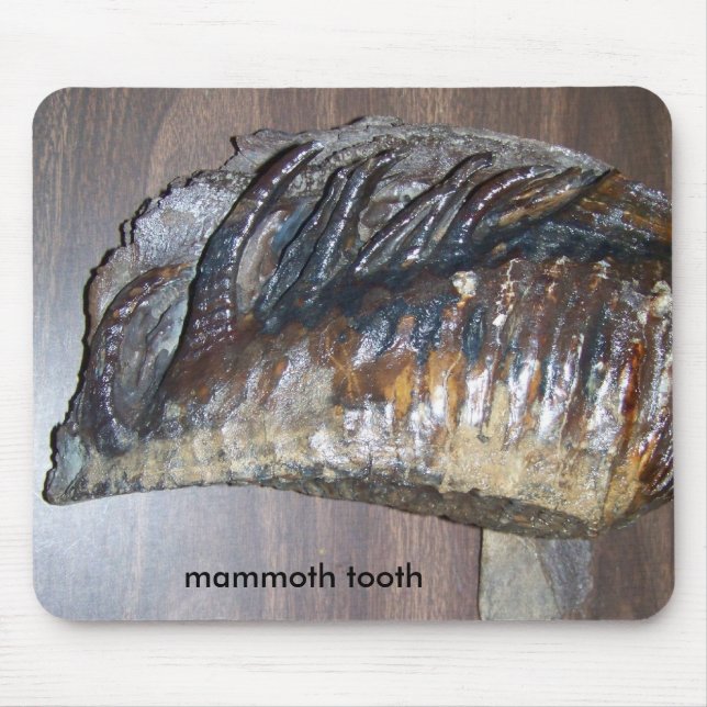 awsome tooth, mammoth tooth mouse mat (Front)