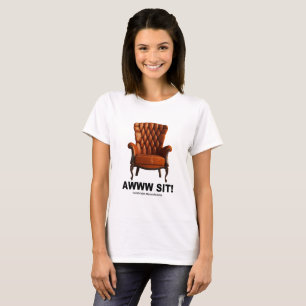 Awww Sit Cambridge Massachusetts Ladies Tee