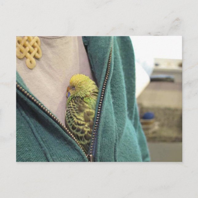 Awwwww, So Cute!!!!!!!! Postcard (Front)