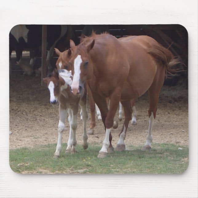 AX- Horse Lovers Design Mouse Mat (Front)