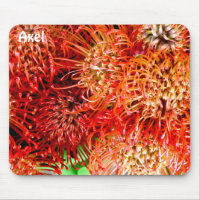 AXEL ~ Personalized Striking Banksia ~