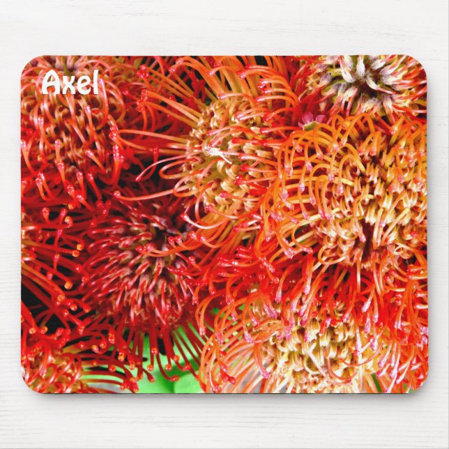 AXEL ~ Personalized Striking Banksia ~  Mouse Mat (Front)