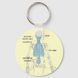 Axial skeleton diagram for medical students key ring