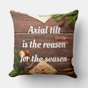 "Axial tilt is the reason for the season" pillow