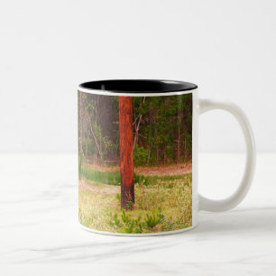 Axis deer Mug