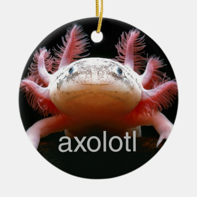 Axolotl Axolotl Axolotl Axolotl Ceramic Tree Decoration (Front)