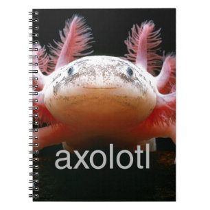Axolotl Axolotl Axolotl Axolotl Notebook