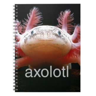 Axolotl Axolotl Axolotl Axolotl Notebook