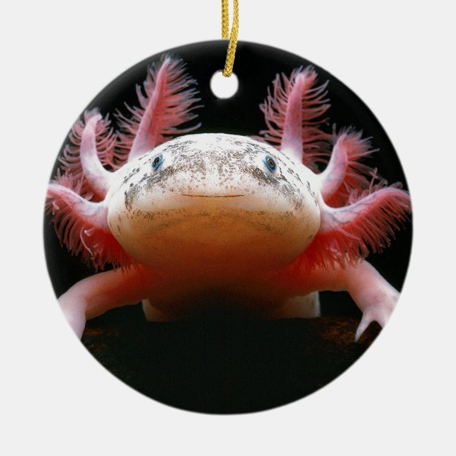 Axolotl Axolotl.png Ceramic Tree Decoration (Front)