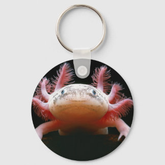 Axolotl Axolotl.png Key Ring