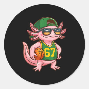 Axolotl Basketball 67 Gen Alpha Slang Srts Men Boy Classic Round Sticker