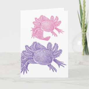 Axolotl Blank Greeting Card - PINK & PURPLE