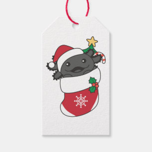 Axolotl Christmas Snow Winter Animals Axolotls Gift Tags