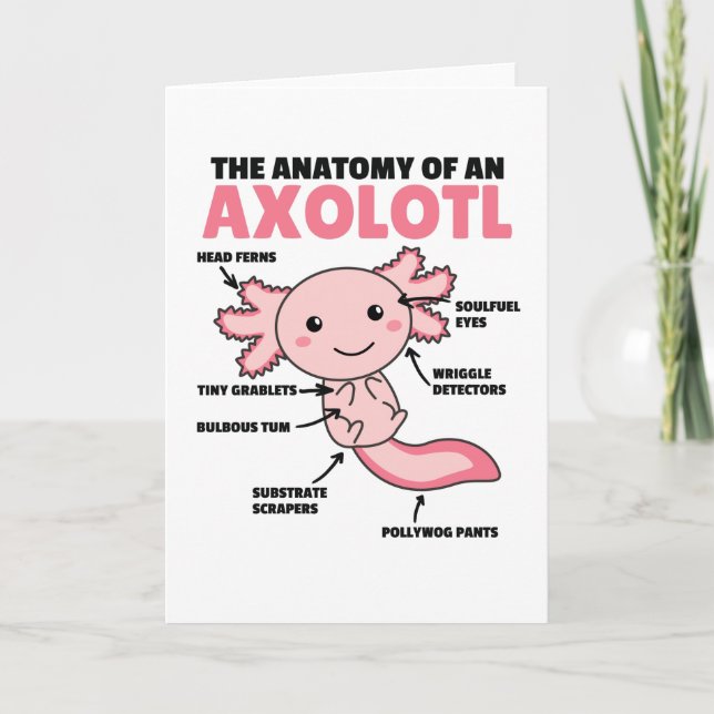 Axolotl Explanation Anatomy Of An Axolotl Card (Front)