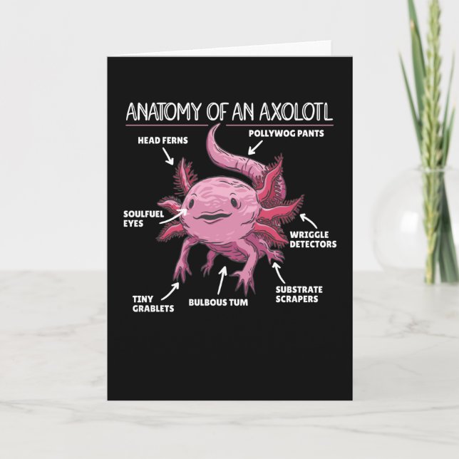 Axolotl Explanation Anatomy Of An Axolotl Card (Front)