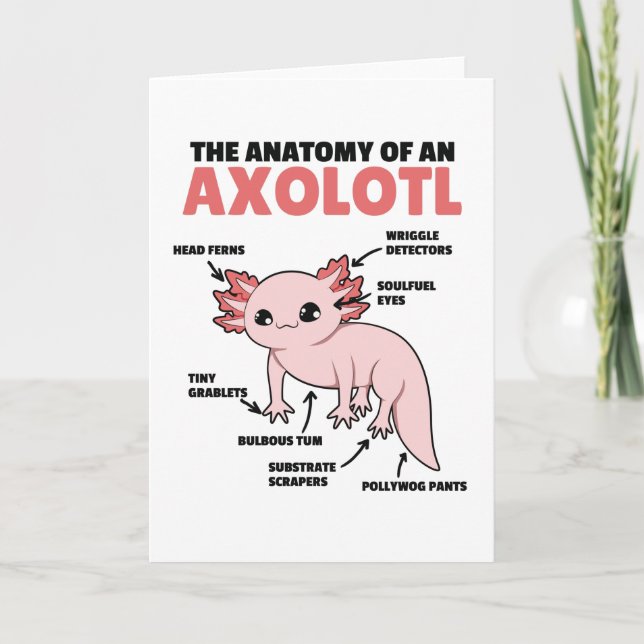 Axolotl Explanation Anatomy Of An Axolotl Card (Front)