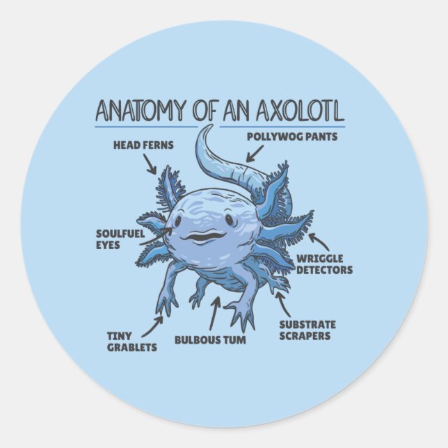 Axolotl Explanation Anatomy Of An Axolotl Classic  Classic Round Sticker (Front)