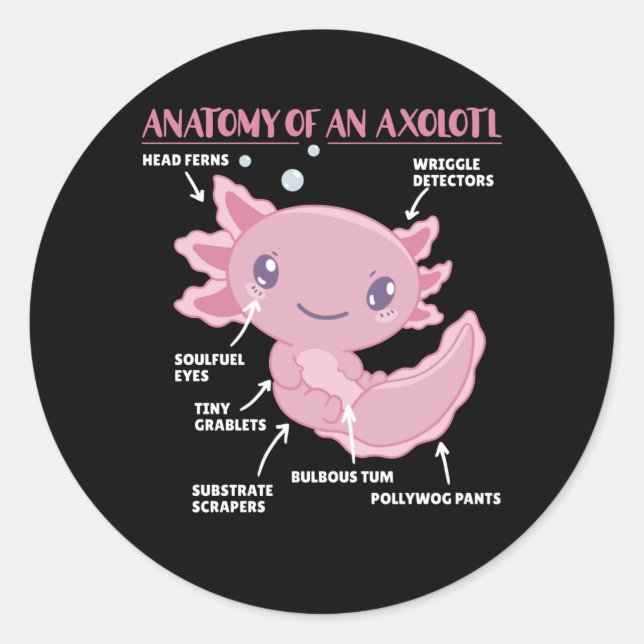 Axolotl Explanation Anatomy Of An Axolotl Classic Round Sticker (Front)
