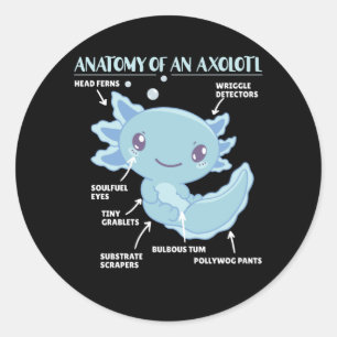 Axolotl Explanation Anatomy Of An Axolotl Classic Round Sticker